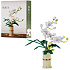 Lebula stavebnice sada 588 dílků el. květ orchidej ve váze. kytice