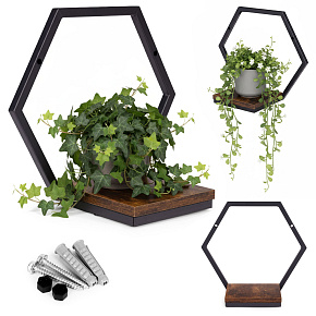Wall Plant Stand Hanging Shelf for Flowers Decorations Loft Hexagon ModernHome