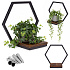 Wall Plant Stand Hanging Shelf for Flowers Decorations Loft Hexagon ModernHome