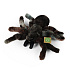 Plyšový pavouk 20 cm ECO-FRIENDLY PLUSH WORLD