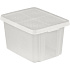 Úložný box ESSENTIALS 26l s víkem průhledný