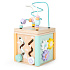 Wooden educational cube, sorter Ecotoys