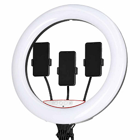 LED RGB kruhové světlo na selfie a natáčení se stativem a dálkovým ovládáním 45 cm LED RGB kruhové světlo na selfie a natáčení se stativem a dálkovým ovládáním 45 cm