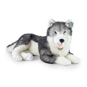 Velký plyšový pes husky 60 cm ECO-FRIENDLY Velký plyšový pes husky 60 cm ECO-FRIENDLY