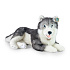 Velký plyšový pes husky 60 cm ECO-FRIENDLY