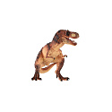 Tyrannosaurus dinosaurus zooted plast 23cm 