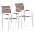 Set of 2 Garden Chairs for Terrace or Balcony, Steel & HDPE White MultiGarden