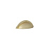 Držák Shell Gold lesklý
