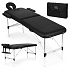 Aluminium Massage and Rehabilitation Table 2-Section Foldable in Suitcase + Bag ModernHome