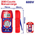 Digitální multimetr 600V RMS 2000 Manual