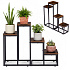 Standing Plant Stand for Flowers Decorations 4 Shelves Loft ModernHome
