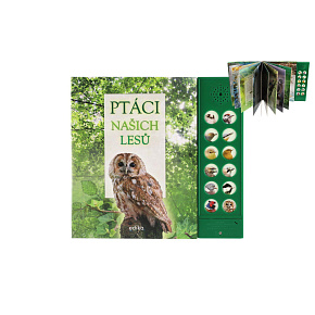 Zvuková knížka Ptáci našich lesů na baterie 22,5x21cm CZ text