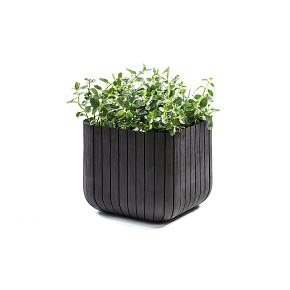 Cube květináč M Cube květináč M