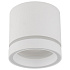 TK Lighting Stropní přisazené svítidlo 4334 JET bílá včetně LED GX53 3000K