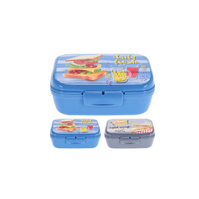 Svačinový box do školy 1000ml