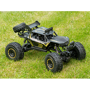 Dálkově ovládané auto 2,4GHz 1:8 51cm kovové černé