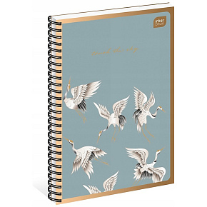 Sešit v kostičkách B5 kroužkový sešit 100 listů Interdruk