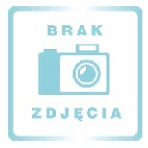 Směrová výstupní tryska do bazénu k filtru 32/38mm Směrová výstupní tryska do bazénu k filtru 32/38mm