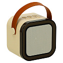 Sada na karaoke reproduktor Bluetooth mikrofon USB LED béžový