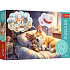Puzzle Snící Corgi 33x22cm 60 dílků v krabičce 21x14x4cm