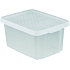 Úložný box ESSENTIALS 16l s víkem průhledný