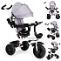 360° Rotating Tricycle with Canopy Grey ECOTOYS